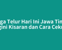 Harga Telur Hari Ini Jawa Timur, Segini Kisaran dan Cara Ceknya