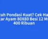 Butuh Pondasi Kuat? Cek Harga Cakar Ayam 80X80 Besi 12 Mulai 400 Ribuan