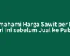 Memahami Harga Sawit per Kilo Hari Ini sebelum Jual ke Pabrik